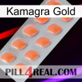 Kamagra Gold 26